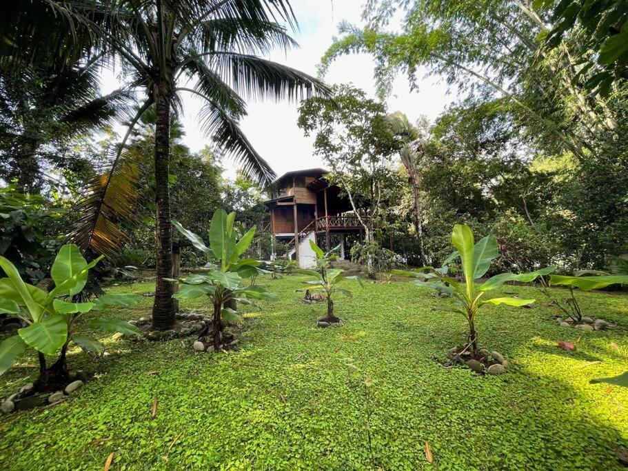 Caoni Riverside Lodge Puerto Quito Exterior foto