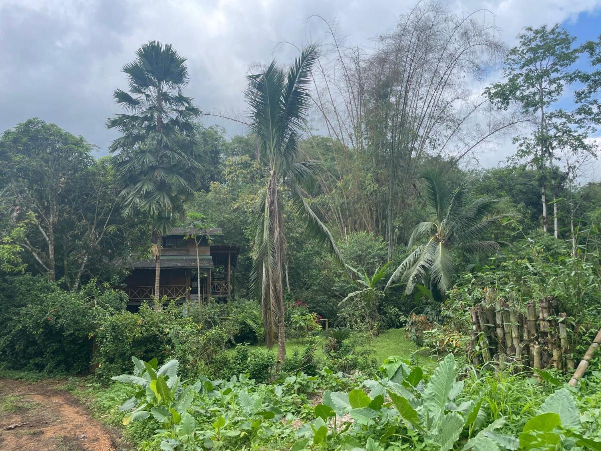 Caoni Riverside Lodge Puerto Quito Exterior foto