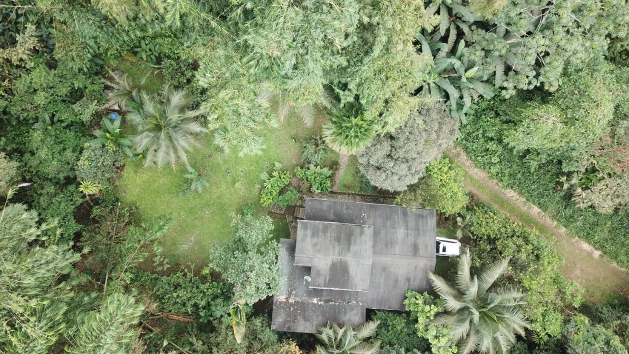 Caoni Riverside Lodge Puerto Quito Exterior foto